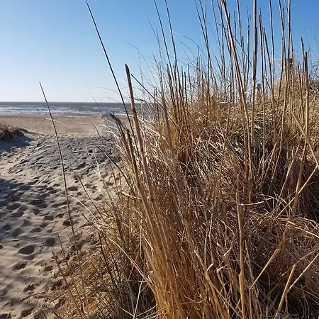 Riverloft I 船屋 库克斯港