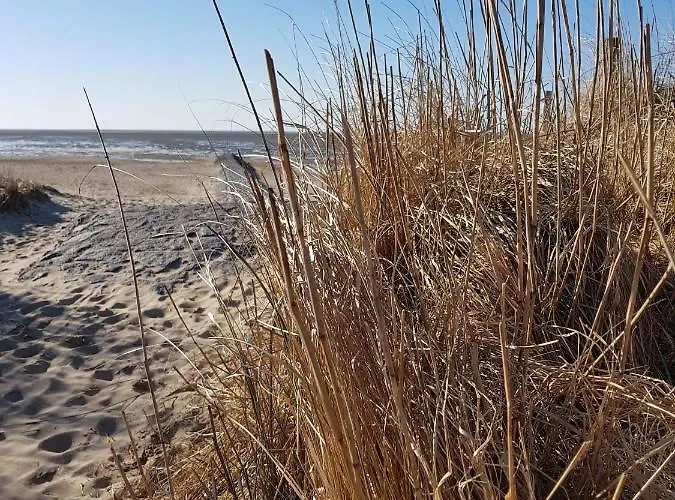 Riverloft I Πλωτό κατάλυμα Κουξχάφεν